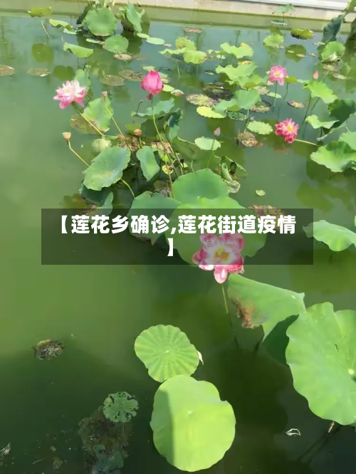 【莲花乡确诊,莲花街道疫情】-第3张图片
