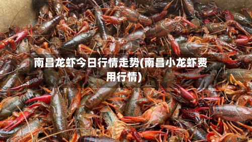 南昌龙虾今日行情走势(南昌小龙虾费用行情)-第2张图片