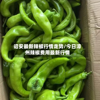 诏安最新辣椒行情走势/今日漳州辣椒费用最新行情-第3张图片