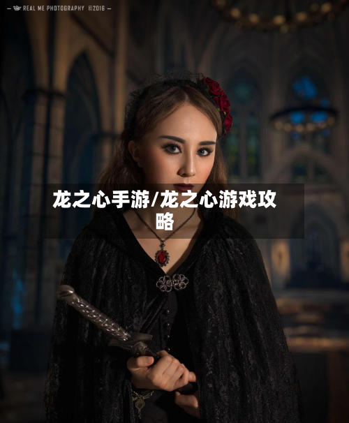 龙之心手游/龙之心游戏攻略-第2张图片