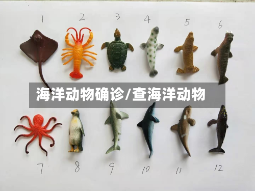 海洋动物确诊/查海洋动物-第2张图片