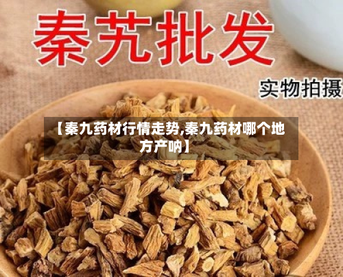 【秦九药材行情走势,秦九药材哪个地方产呐】-第2张图片