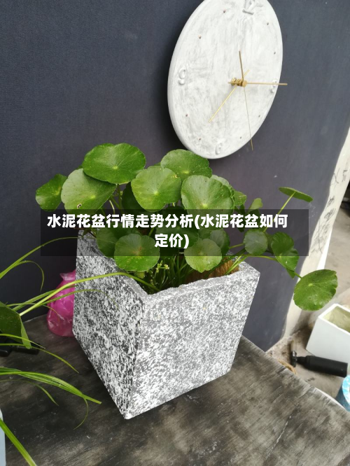水泥花盆行情走势分析(水泥花盆如何定价)