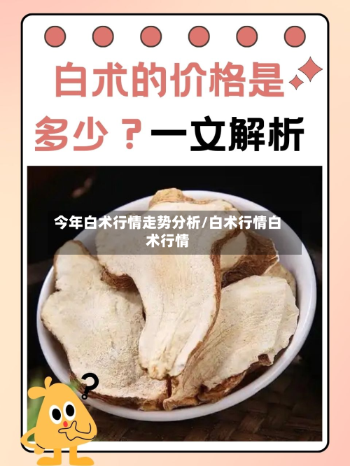 今年白术行情走势分析/白术行情白术行情-第2张图片