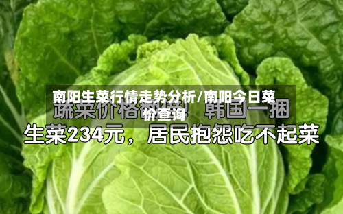 南阳生菜行情走势分析/南阳今日菜价查询-第2张图片
