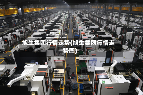 旭生集团行情走势(旭生集团行情走势图)