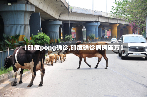 【印度pong确诊,印度确诊病例破万】