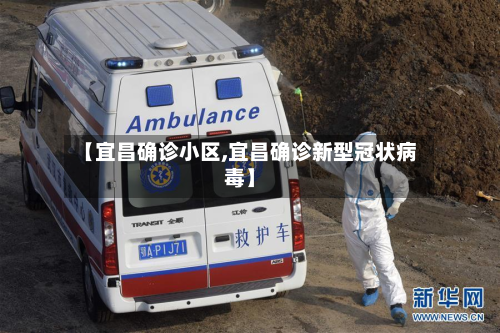 【宜昌确诊小区,宜昌确诊新型冠状病毒】