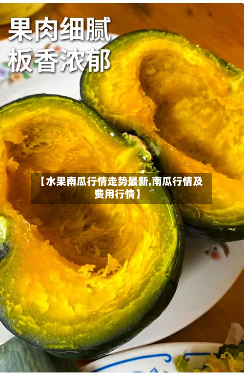 【水果南瓜行情走势最新,南瓜行情及费用行情】-第3张图片