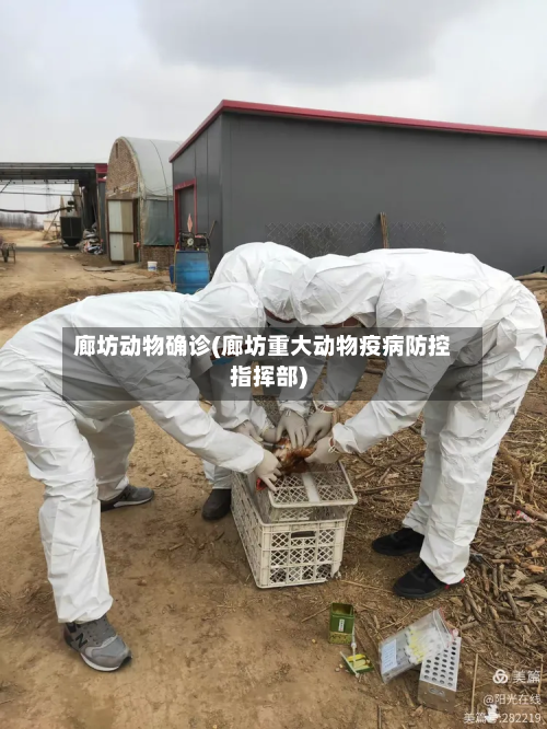 廊坊动物确诊(廊坊重大动物疫病防控指挥部)