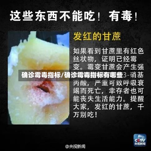 确诊霉毒指标/确诊霉毒指标有哪些
