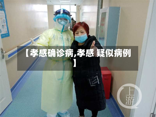【孝感确诊病,孝感 疑似病例】-第2张图片