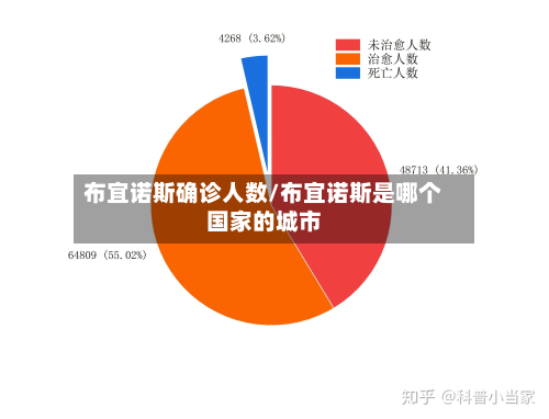 布宜诺斯确诊人数/布宜诺斯是哪个国家的城市-第3张图片