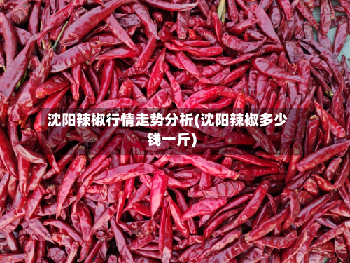 沈阳辣椒行情走势分析(沈阳辣椒多少钱一斤)-第3张图片