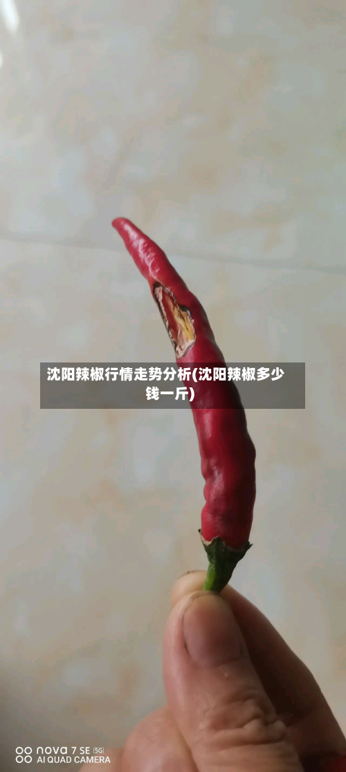 沈阳辣椒行情走势分析(沈阳辣椒多少钱一斤)-第2张图片