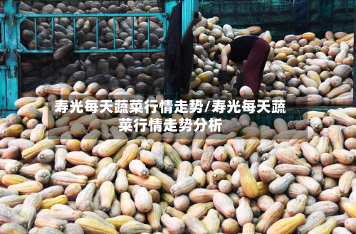 寿光每天蔬菜行情走势/寿光每天蔬菜行情走势分析