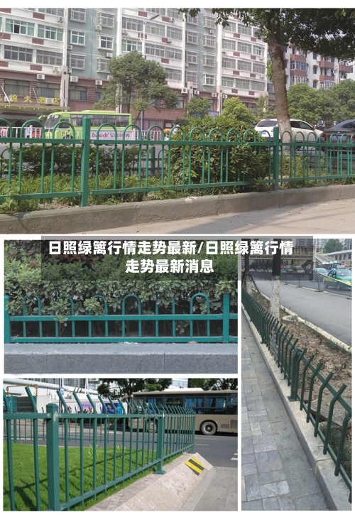 日照绿篱行情走势最新/日照绿篱行情走势最新消息-第2张图片