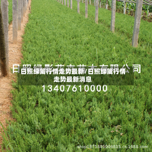 日照绿篱行情走势最新/日照绿篱行情走势最新消息