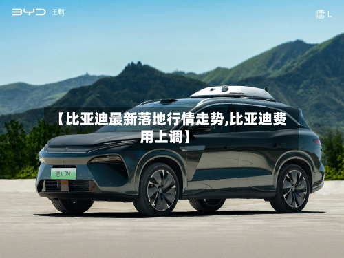 【比亚迪最新落地行情走势,比亚迪费用上调】-第3张图片