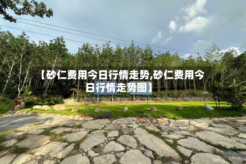 【砂仁费用今日行情走势,砂仁费用今日行情走势图】