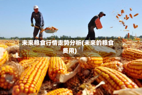 未来粮食行情走势分析(未来的粮食费用)