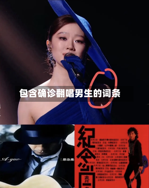 包含确诊翻唱男生的词条