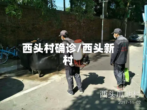 西头村确诊/西头新村