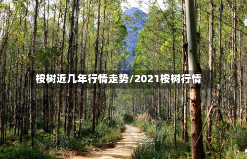 桉树近几年行情走势/2021桉树行情