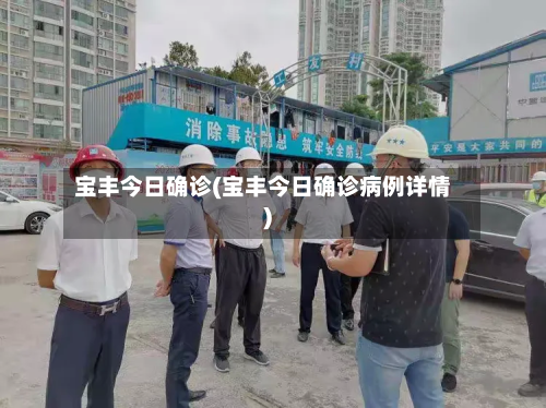 宝丰今日确诊(宝丰今日确诊病例详情)