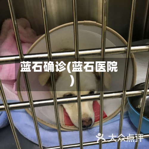 蓝石确诊(蓝石医院)-第2张图片