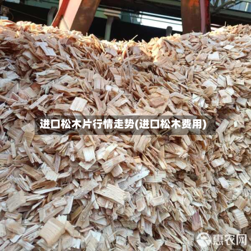 进口松木片行情走势(进口松木费用)-第2张图片
