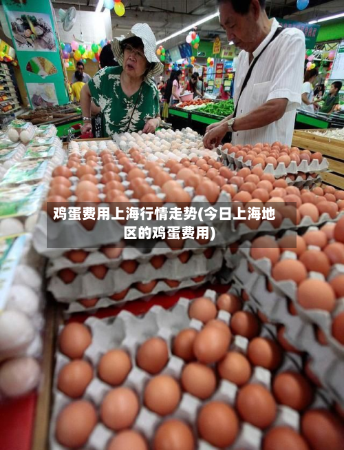 鸡蛋费用上海行情走势(今日上海地区的鸡蛋费用)-第2张图片