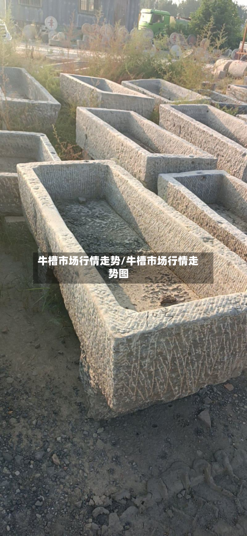 牛槽市场行情走势/牛槽市场行情走势图-第2张图片