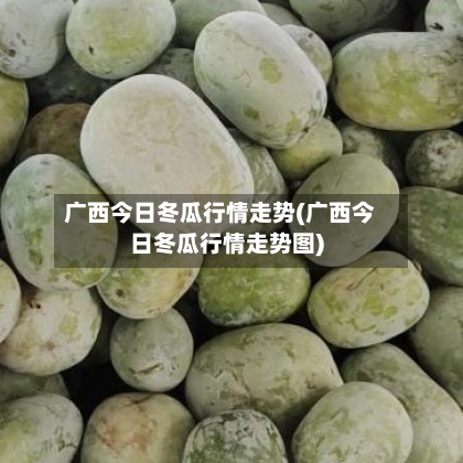 广西今日冬瓜行情走势(广西今日冬瓜行情走势图)