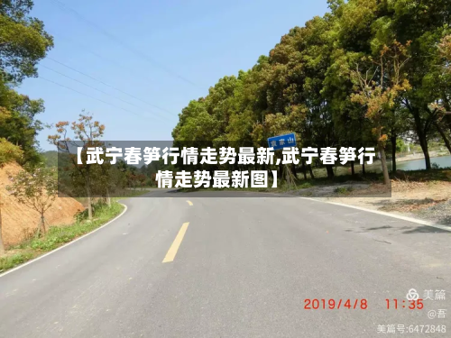 【武宁春笋行情走势最新,武宁春笋行情走势最新图】