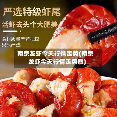南京龙虾今天行情走势(南京龙虾今天行情走势图)