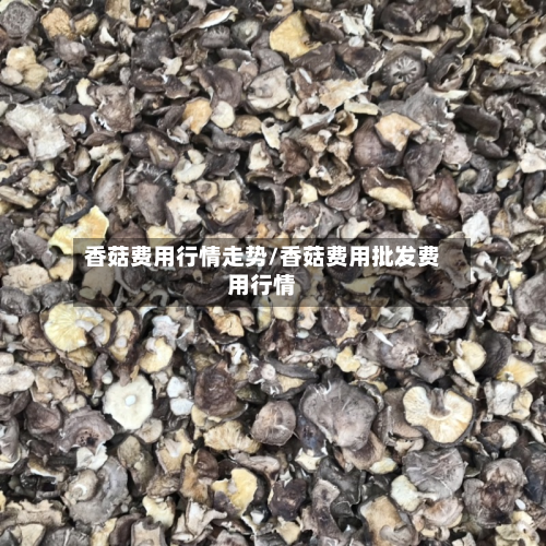 香菇费用行情走势/香菇费用批发费用行情