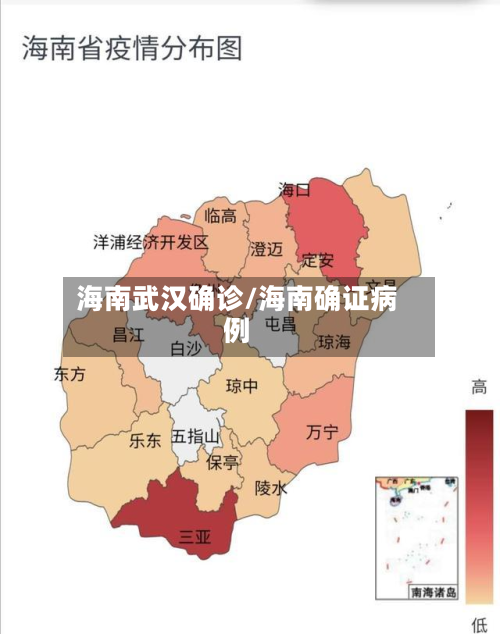 海南武汉确诊/海南确证病例