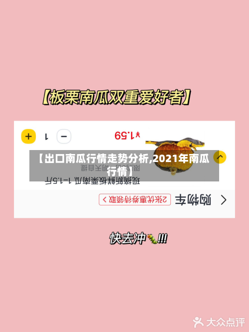 【出口南瓜行情走势分析,2021年南瓜行情】
