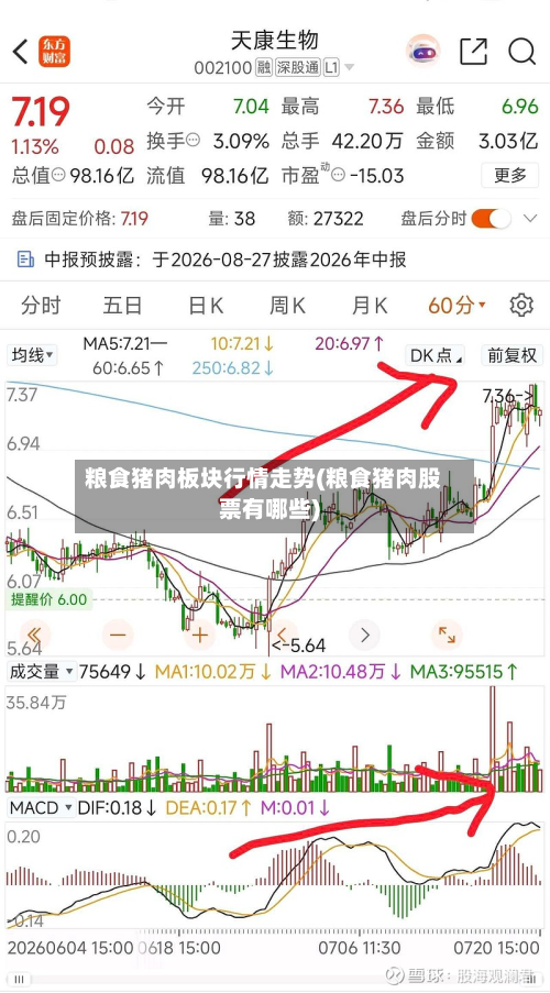 粮食猪肉板块行情走势(粮食猪肉股票有哪些)