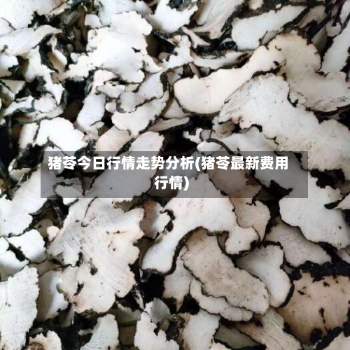 猪苓今日行情走势分析(猪苓最新费用行情)-第2张图片