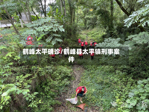 鹤峰太平确诊/鹤峰县太平镇刑事案件-第2张图片