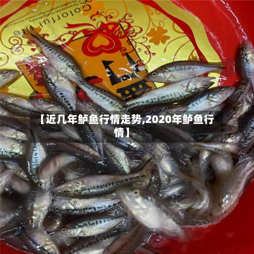 【近几年鲈鱼行情走势,2020年鲈鱼行情】