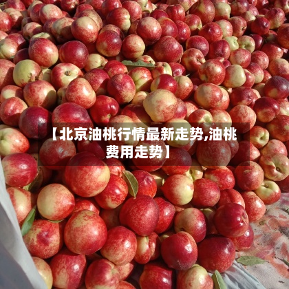 【北京油桃行情最新走势,油桃费用走势】-第2张图片