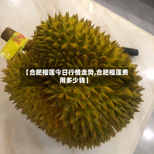 【合肥榴莲今日行情走势,合肥榴莲费用多少钱】-第3张图片