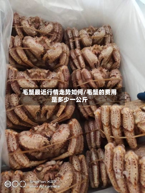 毛蟹最近行情走势如何/毛蟹的费用是多少一公斤
