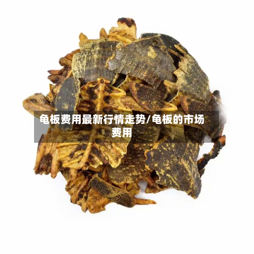 龟板费用最新行情走势/龟板的市场费用-第2张图片