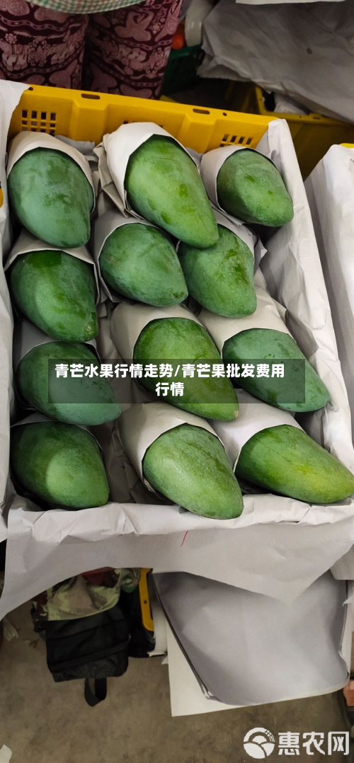 青芒水果行情走势/青芒果批发费用行情-第2张图片