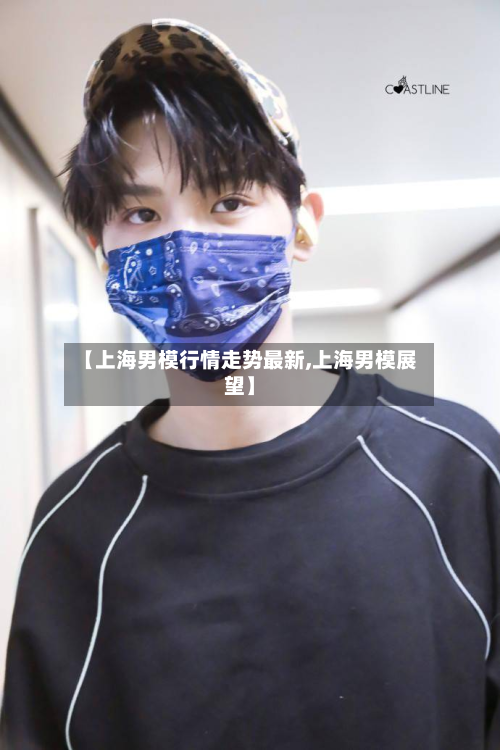 【上海男模行情走势最新,上海男模展望】-第3张图片