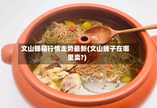 文山蜂箱行情走势最新(文山蜂子在哪里卖?)-第2张图片